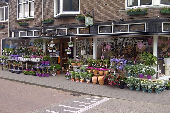 Bloem & Bloem Trendsetters - photo 0